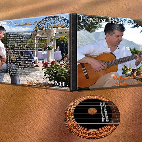 Héctor Bannon Músico para Bodas